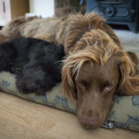 Photo by Gary Broughton